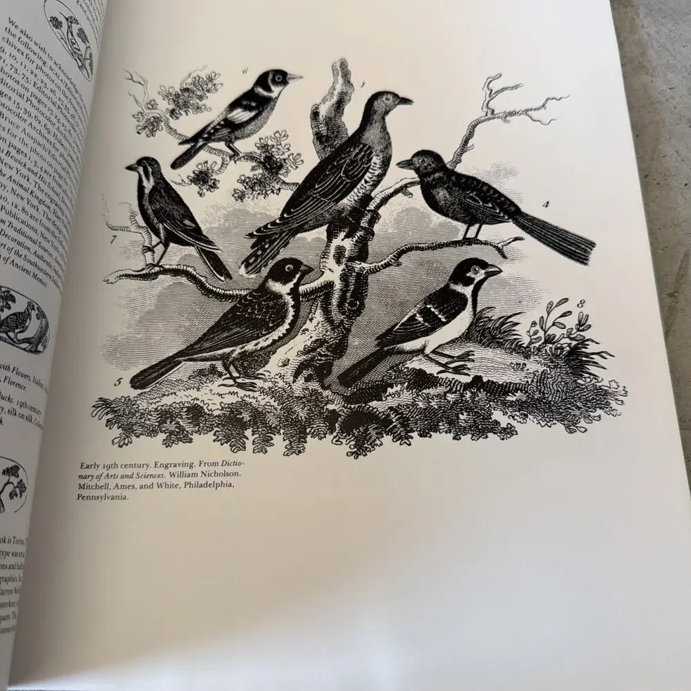 N/A illustrated bird